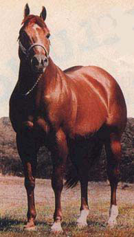 2013 HOF Horse – Impressive 2013 HOF Horse - Impressive