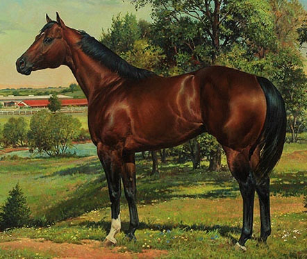 2014 HOF Horse – Te N Te 2014 HOF Horse - Te N Te