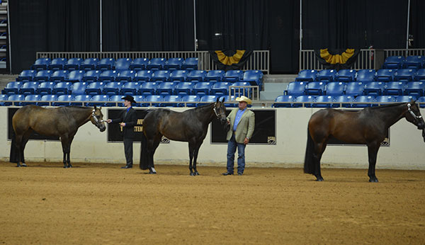 2015 NSBA 2015 NSBA