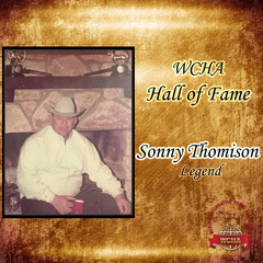 <strong>Sonny Thomison</strong>