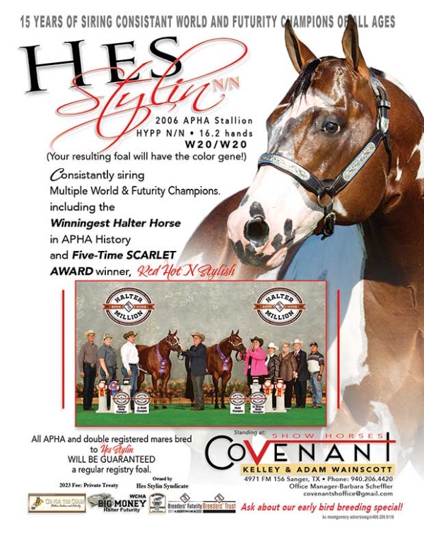 HES STYLIN – World Conformation Horse Association