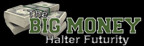 Big-Money-logo-2015-v2