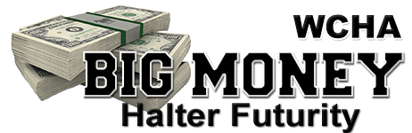 Big-Money-logo-2017-v7-web