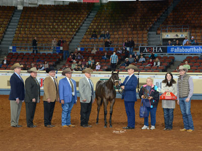 Magnificense-WCHA-2018-Jr-World-Champion-Filly-web