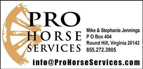 Pro Auction