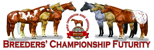 WCHA Futurity 2020 500×164