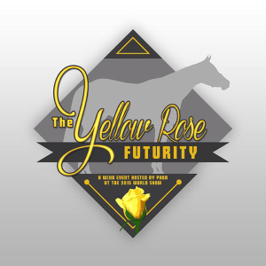 WCHA Yellow Rose Futurity2