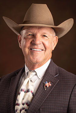 judge-mike-hawkins