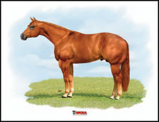 wcha-print-aqha